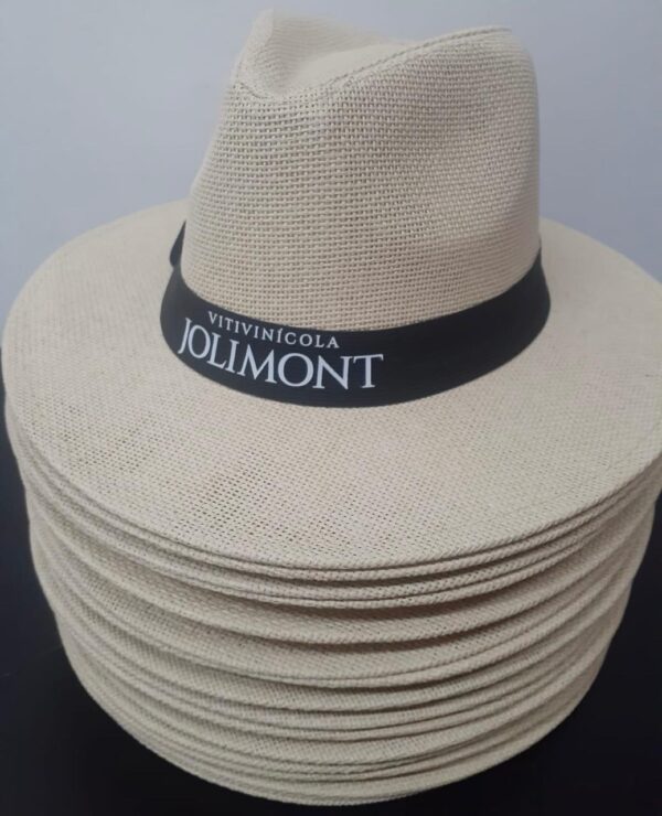 Chapéu Agro Panamá Vintage Palha Shantung Aba Larga Casual e Versátil Schapeu - Image 2