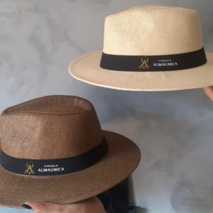 Chapéu Estilo Panamá Vintage Palha Shantung Aba Larga Casual e Versátil Schapeu