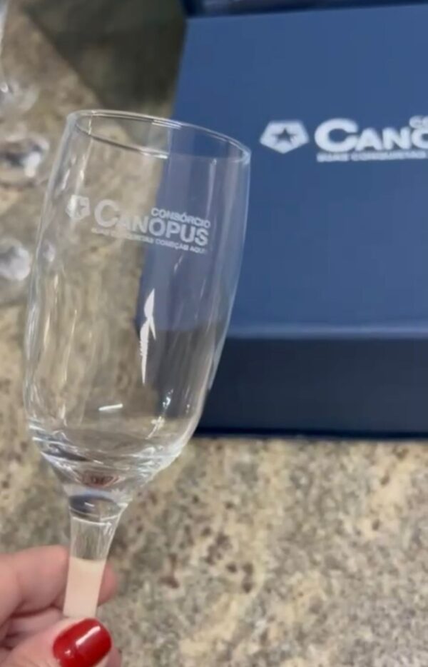 Kit Executivo Mini Chandon e Taças com Caixa Cartonada Presente Skitvinho - Image 8