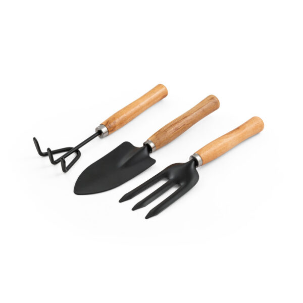 Kit Ferramentas Jardinagem Metal e Madeira de Eucalipto Sg92189 - Image 6