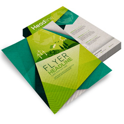 Panfleto Flyer Folder Serviços Gráficos Sfolder