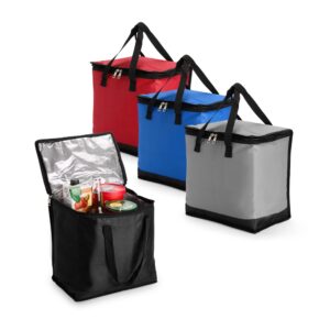 Bolsa Térmica 20 Litros Oxford S47280