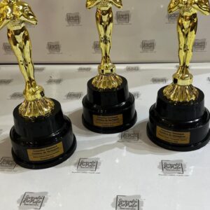 Troféu Oscar Modelo Similar a Estatueta Tam. Altura 23cm altura 23cm Personalizado com Tag 5x2cm Strofeuoscar